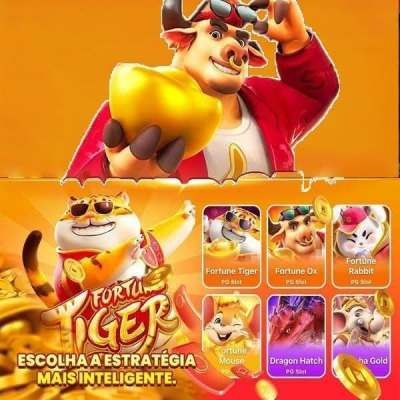 655bet